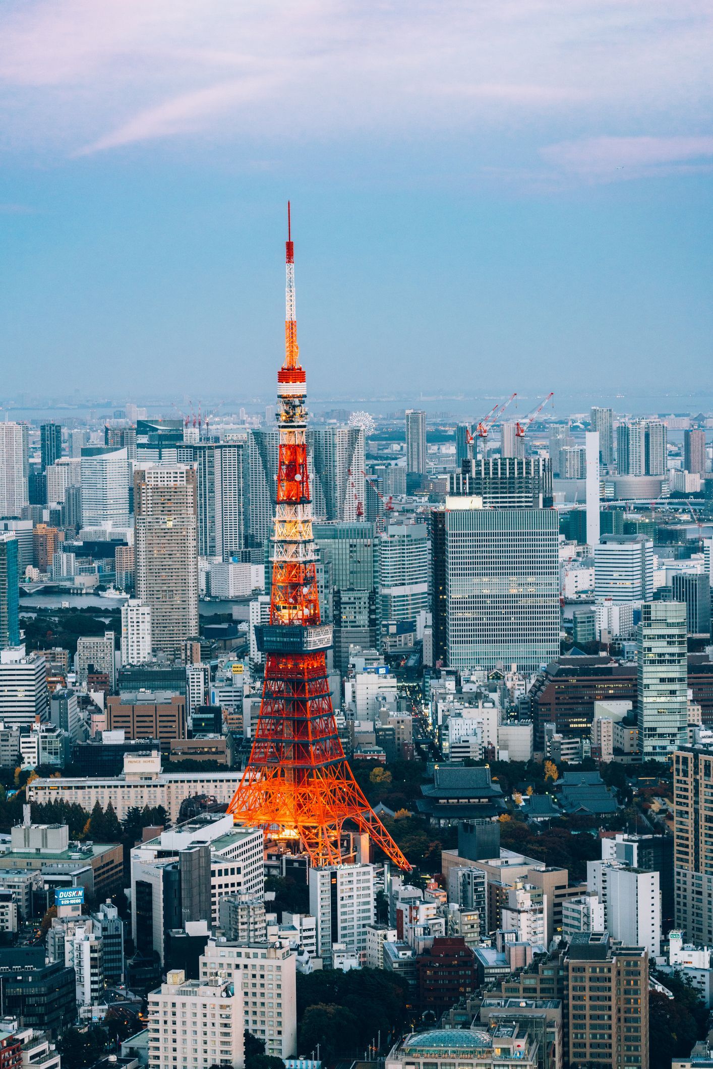 Study in Japan